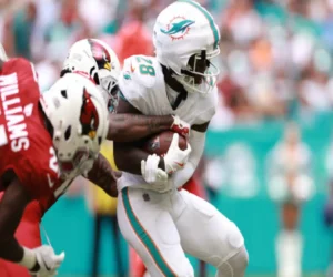 Miami Dolphins vs Arizona Cardinals